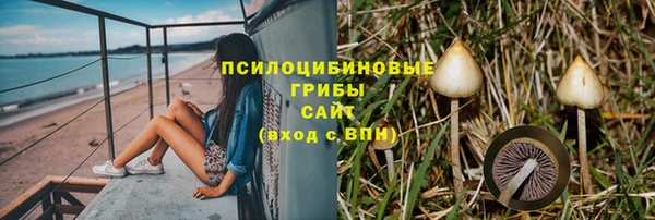 прущие крисы Балахна
