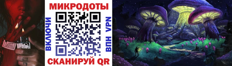 blacksprut вход  Ладушкин  Галлюциногенные грибы мицелий 